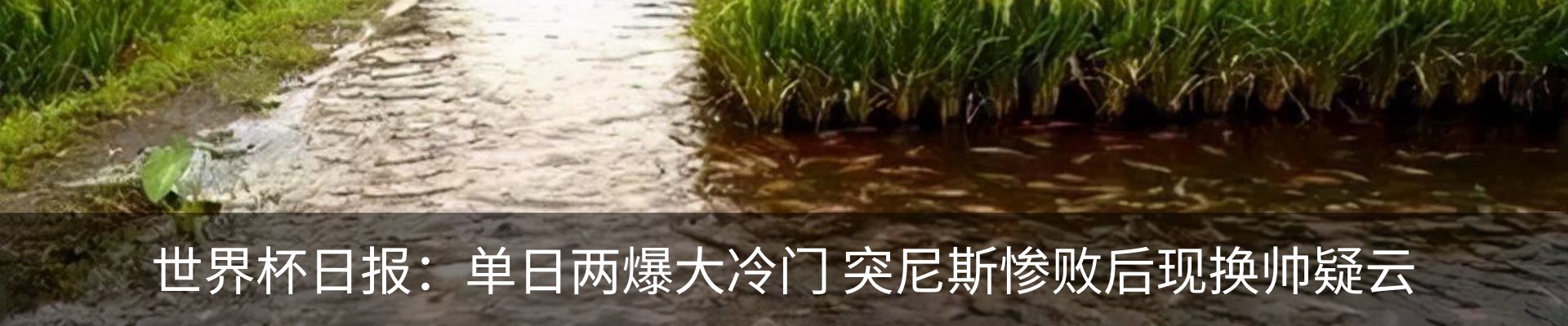 内页banner