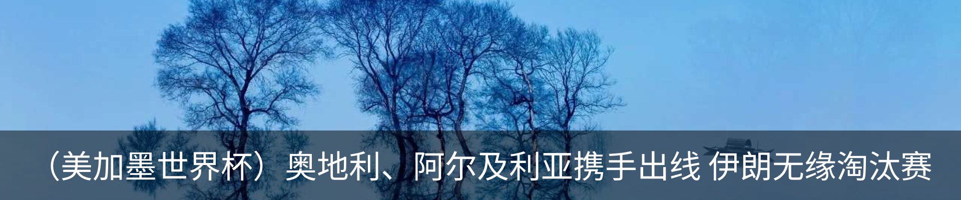 内页banner